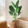 Whizmax Artificial Bird of Paradise Plant, 8 Trunk Fake Palm Tree with Large Faux Leaves, Indoor Tropical Decor for Home, Office, Housewarming Gift - 2 of 4