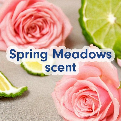 Softsoap Liquid Hand Soap - Spring Meadows - 11.25oz