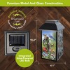 Briarwood Lane Spring Lantern 12" x 6" x 6" Country Birds Solar For Spring Lantern - 2 of 4