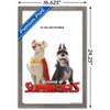 Trends International DC Comics Movie DC League of Super-Pets - Krypto and Ace Framed Wall Poster Prints - 3 of 4