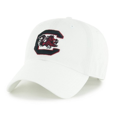 Nfl Carolina Panthers Clean Up Hat : Target