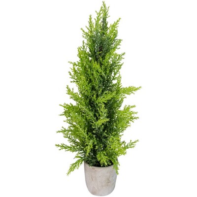Northlight 1.4 FT Upswept Frosted Cedar Artificial Christmas Tree - unlit