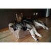 Big Barker 7" Orthopedic Dog Bed - Headrest Edition - 2 of 4