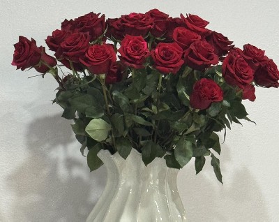 Guest review image 2 of 2, zoom in