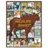 Wildlife Bingo Game â€“ Explore Animals from Forests, Jungles & Deserts - 2 of 2