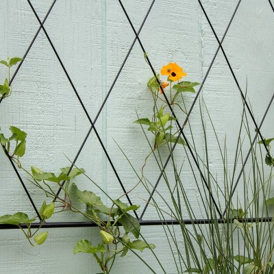 48" Black Iron Oxfordshire Decorative Garden Trellis