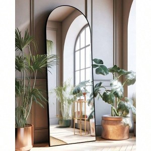 Arched Full Length Mirror Floor Mirror with Stand 18x58 Inch Black Wall Mirror Bedroom Body Mirror Large Size Strong Frame - 1 of 4