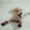 Unique Bargains  Dogs Cats Socks Non-Slip Indoor Paw Protection 4 Pcs - 4 of 4