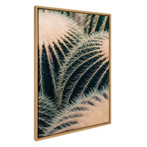 Kate & Laurel All Things Decor Sylvie Barrel Cactus Framed Wall Art by Alicia Bock Natural Desert Cactus Photography Wall Art - 1 of 4