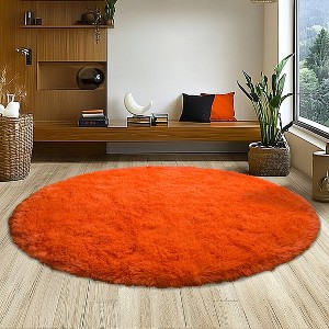 5ft Round Fluffy Area Rug, Soft Shaggy Circle Carpet for Bedroom, Kids Girls Boys Room - 1 of 4