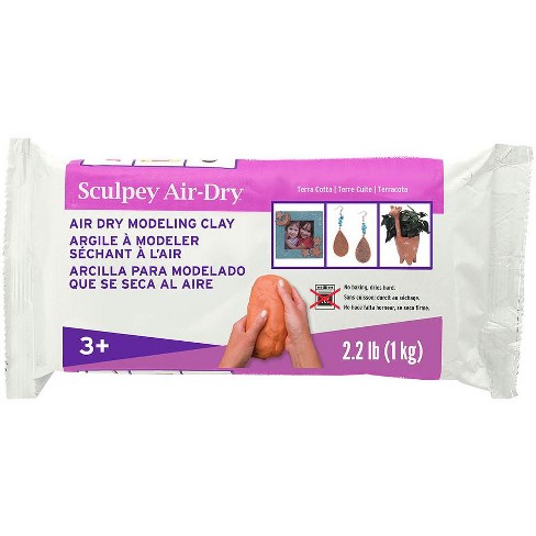 Sculpey Air Dry Modeling Clay Stamping Texturing Molding Sculpting Jewelry