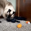 Midlee Halloween Felt Cat Toys Set- Bat, Pumpkin, Spider, Candy Corn - 2 of 4