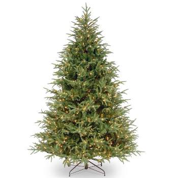 National Tree Company 6.5' Frasier Grande Artificial Christmas Tree 500ct Clear
