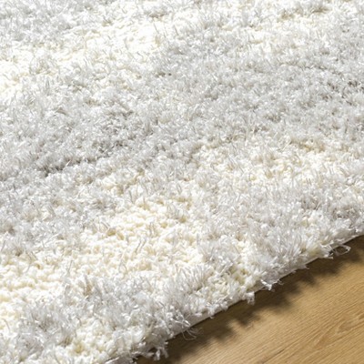 Hauteloom Aysun Gray Plush Area Rug