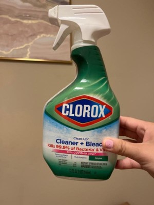 Clorox Rain Clean Scent Clean-up All Purpose Cleaner With Bleach Spray ...