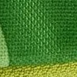 parrot green/eclipse