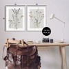 Stupell Industries Delicate Wildflower Herb Sprigs 2pc Framed Giclee Art Set - 3 of 4