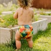 Kanga Care Rumparooz Reusable Cloth Diaper One Size Cover Snap - 2 of 4