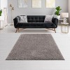 LunaLulinlk Gray Super Soft Polyester Shag Area Rug - 4 of 4