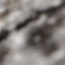 pearl, dark brown, brown, light brown, taupe