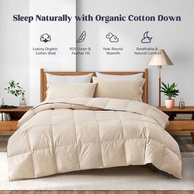 EcoDream Full/Queen Off-White Organic Cotton Down Comforter