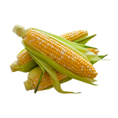 Fresh Sweet Corn - 20oz/4ct
