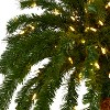 Nearly Natural 6-ft Christmas Palm Artificial Tree with 200 Warm White LED Lights - 3 of 3