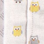 owl 8-pack