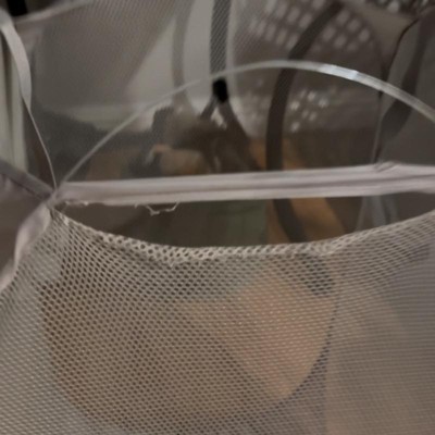 Guest review image 1 of 3, zoom in