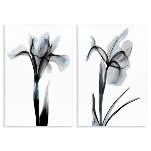 Stupell Industries Contrast Black & Blue Flowers 2pc Wall Plaque Art Set - 1 of 4