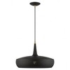 Livex Lighting Banbury 1 - Light Pendant in  Black/Antique Brass - 3 of 3