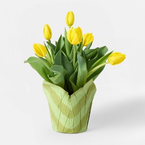6" Potted Tulip - Good Little Garden™ - 1 of 3