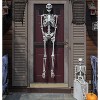 Life Size Human Skeleton Halloween Decoration Value 2 Pack- Adult 5' 4" & Child 2' - Articulated Movable Limbs, Weather Resistant Indoor/Outdoor - 4 of 4