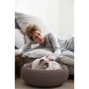 Keter by Curver Knit Cozy Resin Plastic Pet Bed with Cushion, Small Dogs to Medium Cats, Sandy Beige - 2 of 4