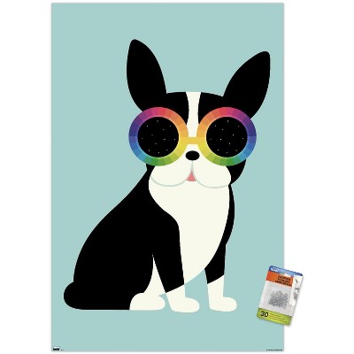 clear push pins bundle