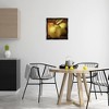 Stupell Industries Vintage Apples Close Up Floating Frame Canvas Art - 3 of 4
