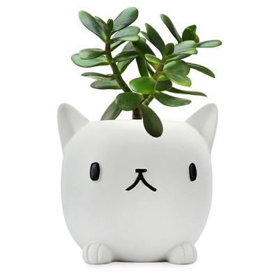 Esterno Cute Cat Mini Planter Pot; White Kitten-Shaped Resin Flower Pot, Pencil Holder Too!