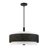 Livex Lighting Noria 5 - Light Chandelier in  Black - 2 of 2