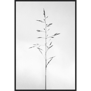 23" x 33" Amid The Flowers XVI by Teis Albers Framed Canvas Wall Art Print - Amanti Art: Modern Lithograph, Polystyrene Frame - 1 of 4