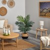Nearly Natural 4-ft Kentia Palm Artificial Tree in Boho Chic Handmade Cotton & Jute Black Woven Planter - 4 of 4