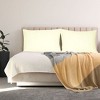 PiccoCasa Zippered 100% Brushed Microfiber Polyester Soft Pillowcases 2 Pcs - image 2 of 4