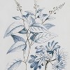Olivia & May Set of 2  Wood Leaf Framed Wall Art with Black Frames Black : Botanical Screen Print - 4 of 4