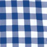 rich blue check