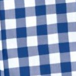 rich blue check