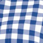 rich blue check