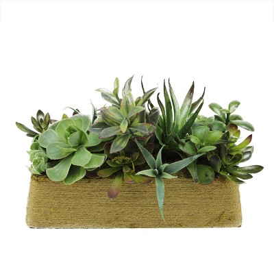 Northlight 12.5" Mixed Succulent Artificial Arrangement in Twine Planter Box - Green/Brown