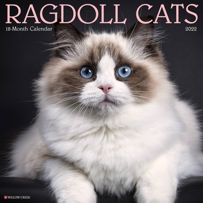 2022 Wall Calendar Ragdoll Cats - Willow Creek Press