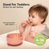 2-Pack Prep Baby Bowls with Suctions & Lids, Silicone Bowls for Baby Boy, Girl, Toddler Suction Bowl, Kids Bowl BPA-Free - 3 of 4