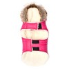 The Worthy Dog Park City Puffer Hoodie Jacket - 2 of 3