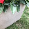 Rosemead Home & Garden, Inc. 12" Rectangular Concrete/Fiberglass Elegant Indoor/Outdoor Planter Weathered Gray - 3 of 4